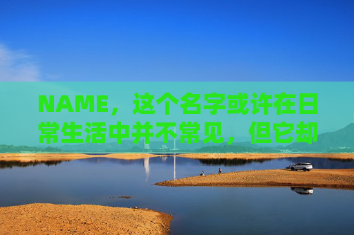 NAME,这个名字或许在日常生活中并不常见,但它却在某些领域里扮演着重要的角色。今天,让我们一起来探索这个名字背后的故事和意义